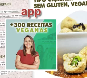 app-300-receitas-vegana-e-vegetariana