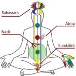 Kundalini, nadis e chakras