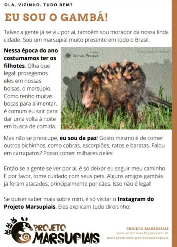 Projeto Marsupiais - Gambá