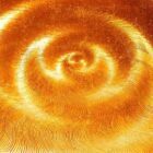 Tapas - fogo interior