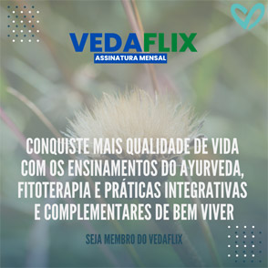 Vedaflix: a ciência milenar do Ayurveda (Dr. Danilo Maciel Carneiro e Verena Farha Carneiro)