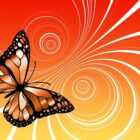 Vibração (borboleta)